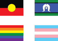 diversity flags